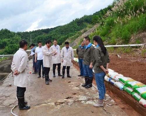 邓义桢：6.21吴彩洪董事长到龙岩分公司视察防汛抗灾工作3.jpg