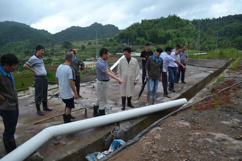 邓义桢：公司总经理颜建议到龙岩分公司视察防汛抗灾情况4.jpg