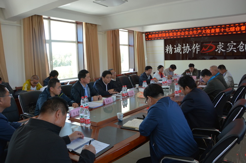 李锋：国务院安全督查组到海西东诺公司督查1.jpg