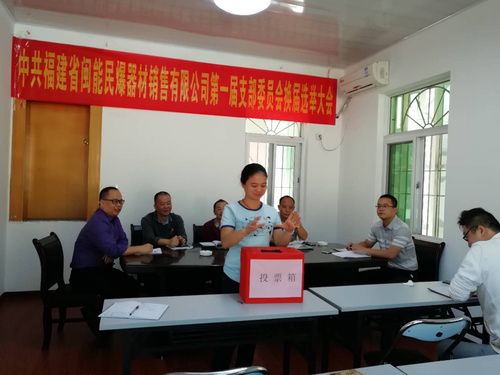 廖连青：闽能销售公司党支部圆满完成支部换届.jpg