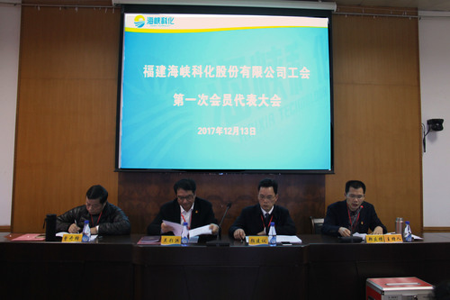 罗联河：公司成功召开工会第一次会员代表大会（图为大会现场）.jpg