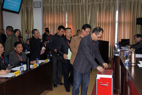 罗联河：公司成功召开工会第一次会员代表大会（图为参会代表进行投票）.jpg