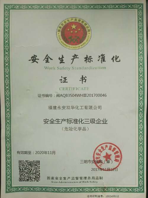 陈婷婷、彭华“图为公司安全标准化三级达标企业证书.jpg