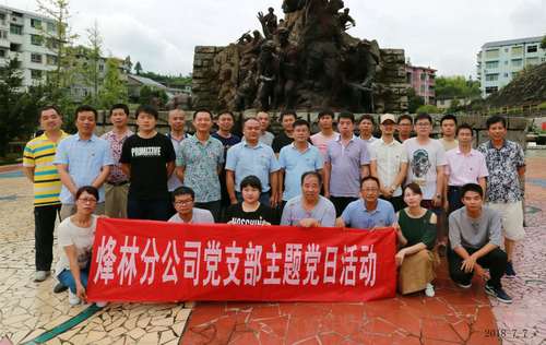 连珂莹：主题党日活动.jpg