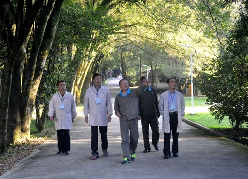 陈宏金：机控公司纪委书记林心銮一行到永春公司调研指导工作。1.jpg