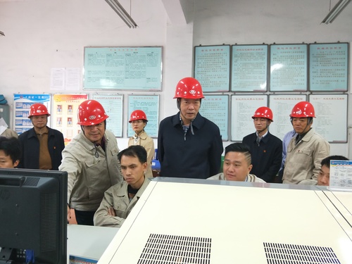 蔡美花：图为林心銮书记深入现场调研照片.jpg