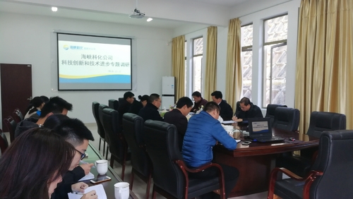 钟林琳：海峡科化公司总经理颜建议一行莅临龙岩分公司开展开展科技创新和技术进步专题调研2.jpg