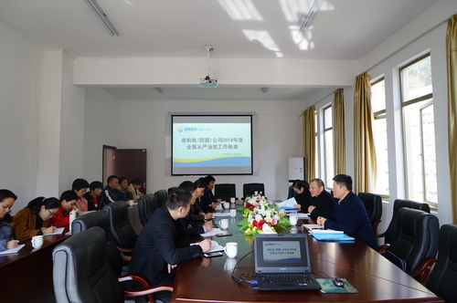 叶莉：省机电控股公司副总经理吴大文到龙岩分公司检查2018年度全面从严治党工作.jpg