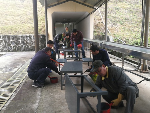 施武星：龙岩分公司乳化一车间支部组织党员给车间铁质平台、踏板刷漆.jpg