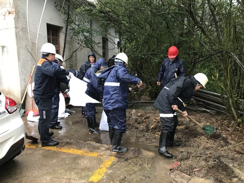 陈新苗-上杭分公司组织开展以“环境秩序，我的责任”为主题的全员义务劳动1.jpg