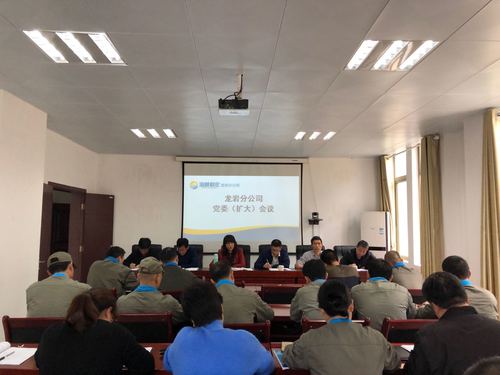 叶莉：龙岩分公司加强未巡先改工作的部署及落实.jpg
