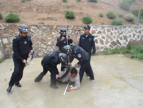 东诺.jpg