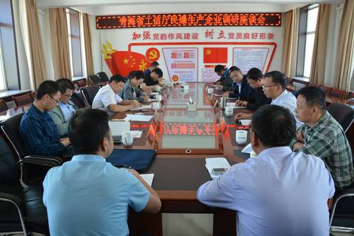 对海西东诺公司进行检查指导.jpg