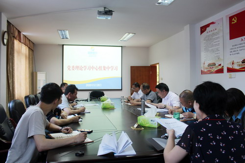永安分公司党委进行《中共中央国务院关于构建更加完善的要素市场化配置体制机制的意见》学习_调整大小.jpg
