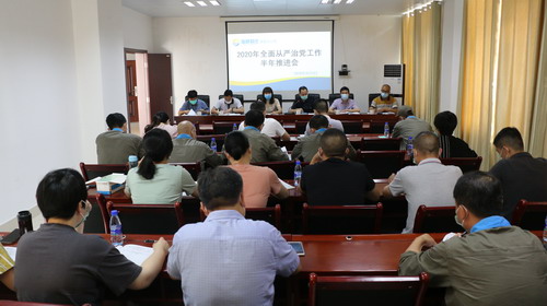 （建议采用）吴瑶：龙岩分公司党委召开2020年全面从严治党工作半年推进会_调整大小.JPG