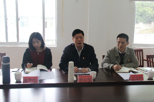 黄晓志：图为林心銮书记作强调讲话~1.jpg