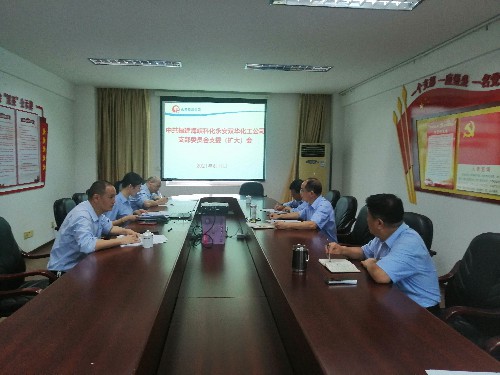 永安双华公司邓焱珍：永安双华公司党支部专题部署意识形态工作~1.jpg
