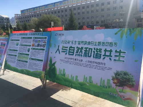 东诺公司~1.jpg
