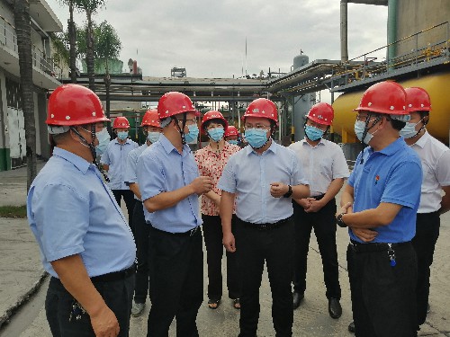 永安双华公司邓焱珍：永安市委书记傅天宝到永安双华公司调研1~1.jpg
