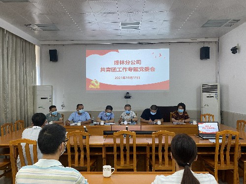烽林连珂莹：共青团工作专题党委会~1.jpg