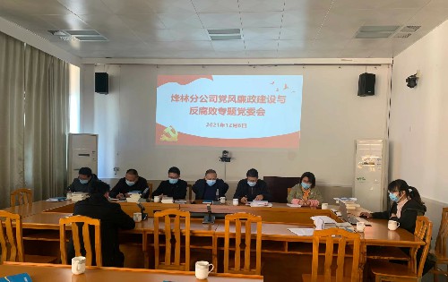 烽林林美玲：党风廉政建设专题党委会~1.jpg