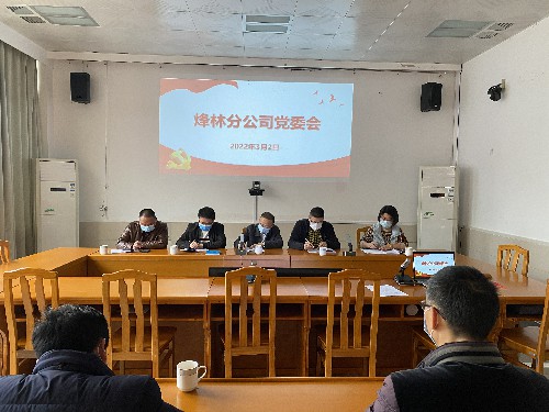 烽林连珂莹：烽林分公司召开党委会深入学习贯彻省委“提高效率、提升效能、提增效益”行动精�?(1)~1.jpg