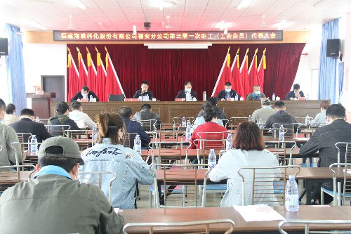 福安分公司胡廷淦：图为海峡科化福安分公司职工代表大会~1.jpg