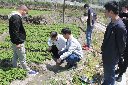 福安分公司庄灿彬：图为张瑞林一行了解村情村况~1.jpg