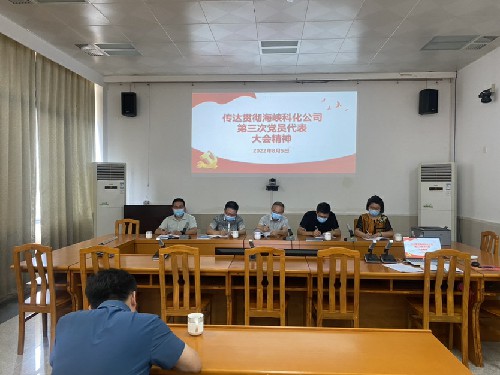 烽林连珂莹：传达贯彻海峡科化公司第三次党员代表大会精神会议现场~1.jpg