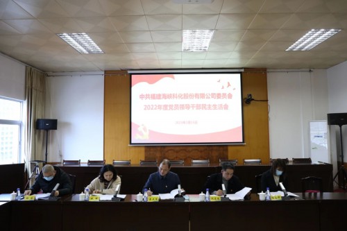格式工厂海峡科化公司党委召开2022年度党员领导干部民主生活�?.jpg