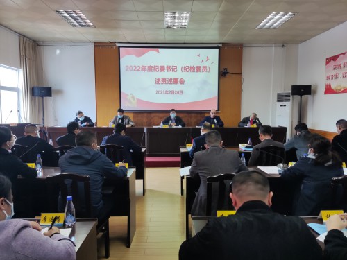 格式工厂海峡科化公司纪委召开2022年度纪委书记（纪检委员）述责述廉会1.jpg