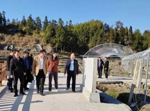 海峡科化公司党委书记、董事长吴彩洪到福安市城阳镇仙岭村调研乡村振兴工作并慰问驻村干部2.jpg