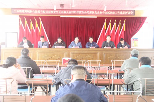 格式工厂福安胡廷淦：图为福安分公�?党委召开2022年度所属党支部书记抓基层党建工作述职评议会 (1).jpg