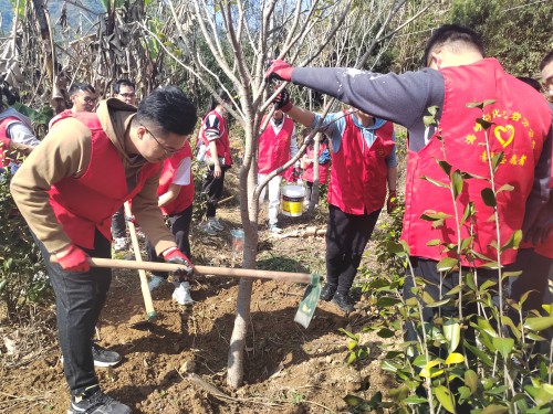格式工厂龙岩分公�?黄晓�?植树现场1.jpg