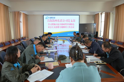 格式工厂青海海西东诺化工有限公司召开学习贯彻习近平新时代中国特色社会主义思想主题教育工作会议现场.jpg