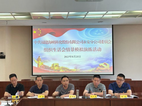 格式工厂永安分公司鲍玉婷：海峡科化永安分公司党委“实战演练”推动组织生活会严起来、活起来、实起来 (2).jpg