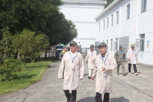采用图片.jpg