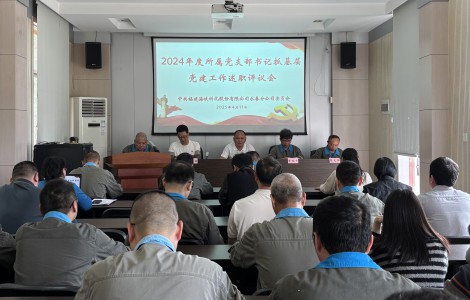 格式工厂党支部书记述职评议会.jpg