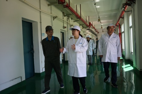 格式工厂烽林范志成：明溪县委副书记、县长张文静一行到海峡科化烽林分公司开展安全生产专项检查.jpg