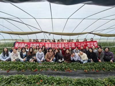 格式工厂烽林林美玲：春日耕心·巾帼聚力——海峡科化烽林分公司举办庆“三八”妇女节采摘团建活动1.jpg