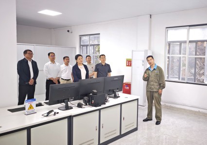 格式工厂省工控集团党委书记、董事长杨方一行到海峡科化福安分公司调研督导安全生产工作.jpg